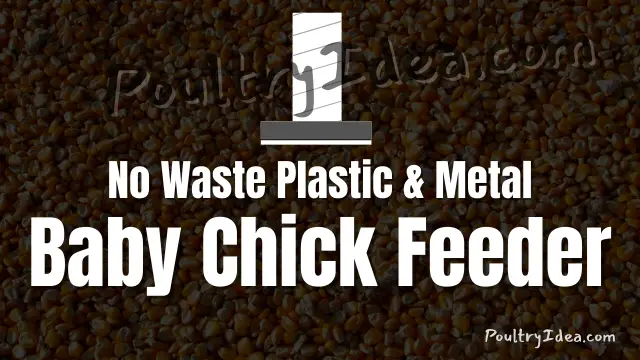 plastic and metal baby chick feeder