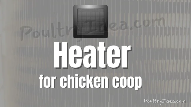 chicken heater for poultry birds