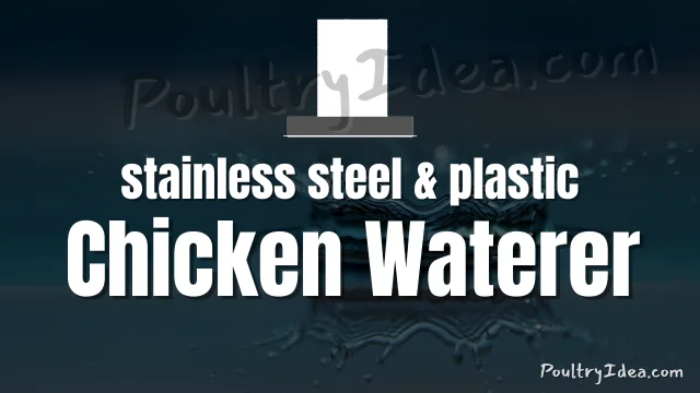 stainless steel and plastic poultry chicken waterer (drinker)