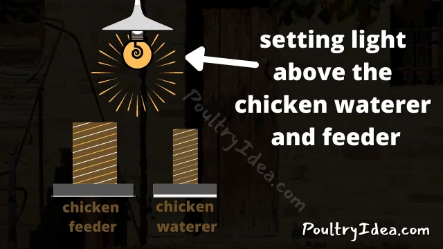 setting light above the chicken feeder and waterer
