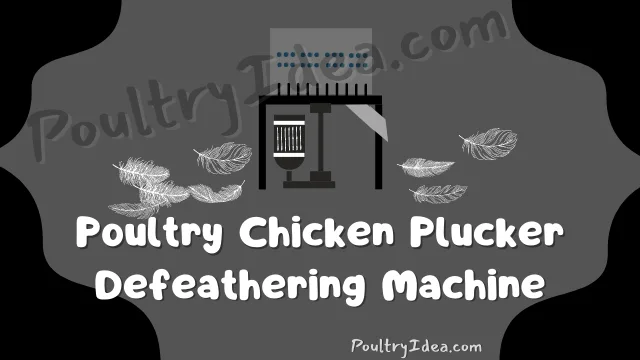 chicken plucker machine for poultry birds