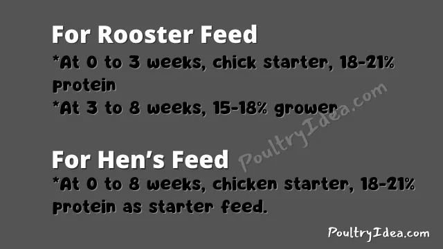what to feed roosters and hens for their health