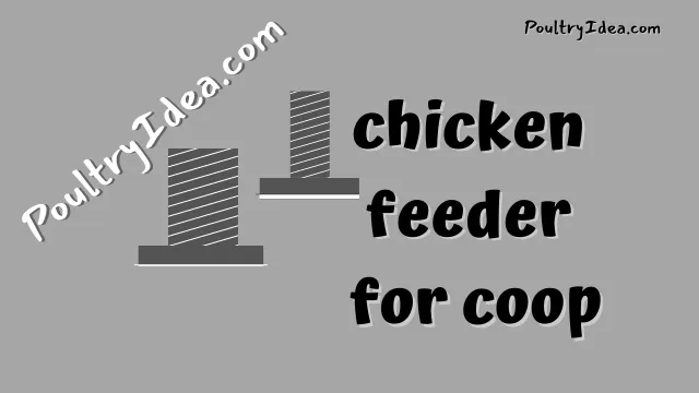 chicken feeder for the coop